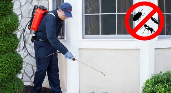 Muratpaşa Tahtakurusu İlaçlama böcek ilaçlama ve haşere kontrolü — ilaclama-tr.com